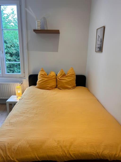 Le Nid Douillet Nanceien Apartment Нанси Екстериор снимка
